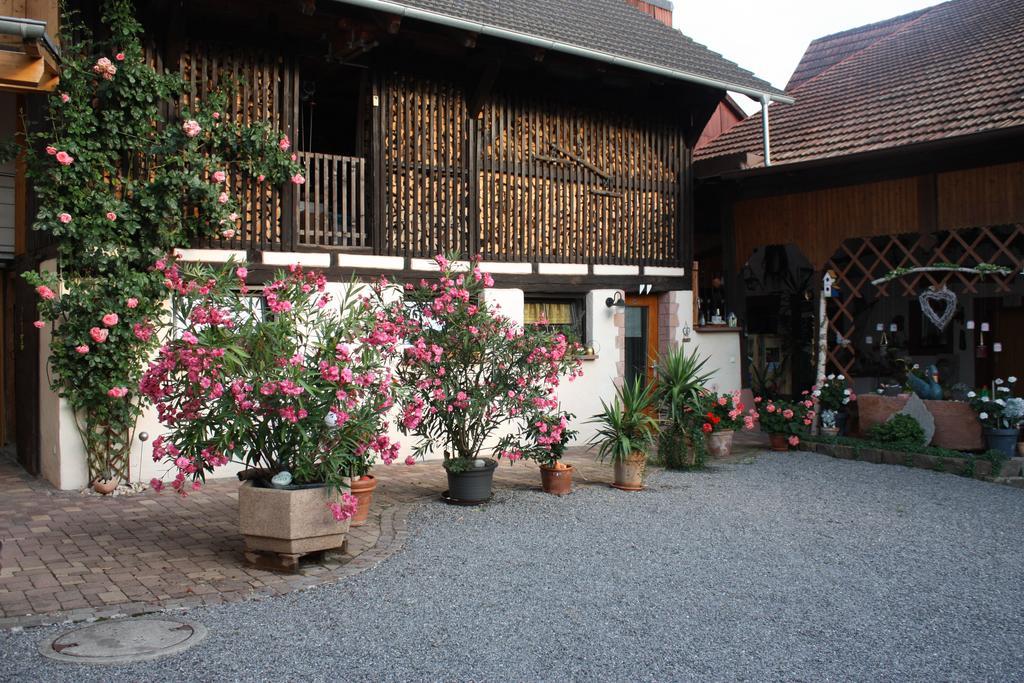 Ferienwohnung Fam. Hoehn Kappel-Grafenhausen Buitenkant foto