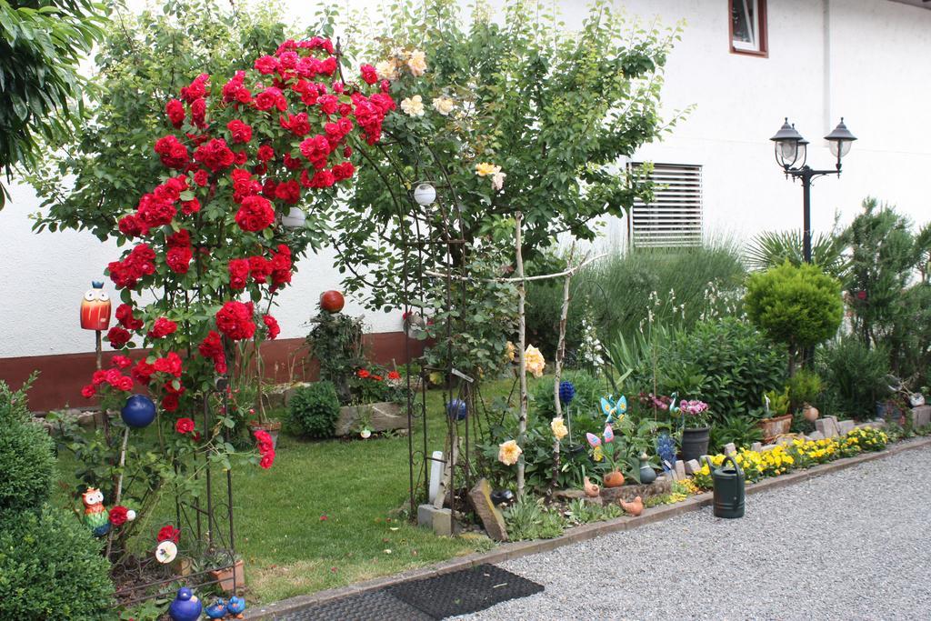 Ferienwohnung Fam. Hoehn Kappel-Grafenhausen Buitenkant foto