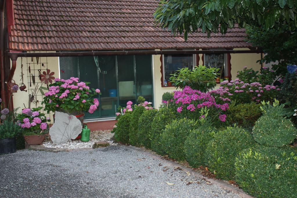 Ferienwohnung Fam. Hoehn Kappel-Grafenhausen Buitenkant foto